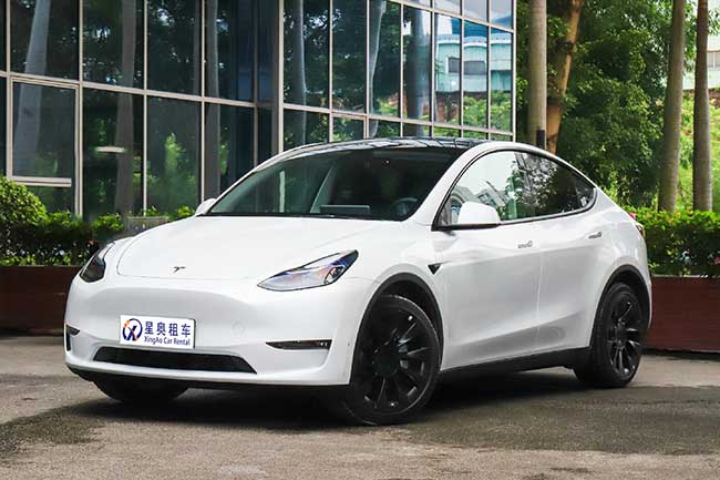 特斯拉Model Y